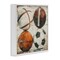 Stupell Industries Rustic Sports Balls Framed Giclee Wall Art Design by Lazar Studio